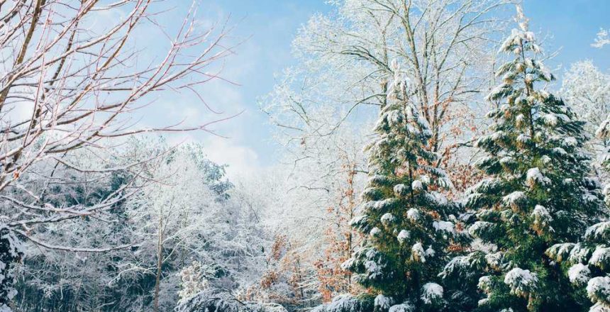 ian-schneider-dqMxDqdhg_4-unsplash